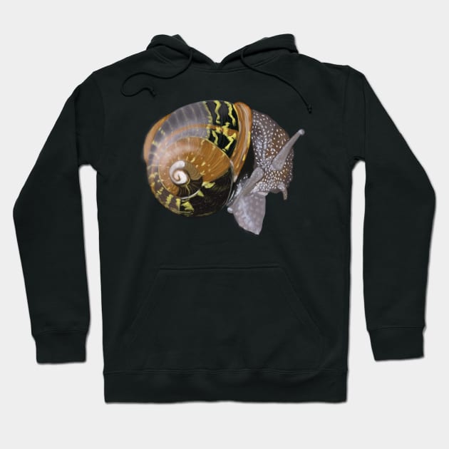 Snail Power in black, grey, brown, white Hoodie by gldomenech